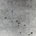 Vogelwand 1980
