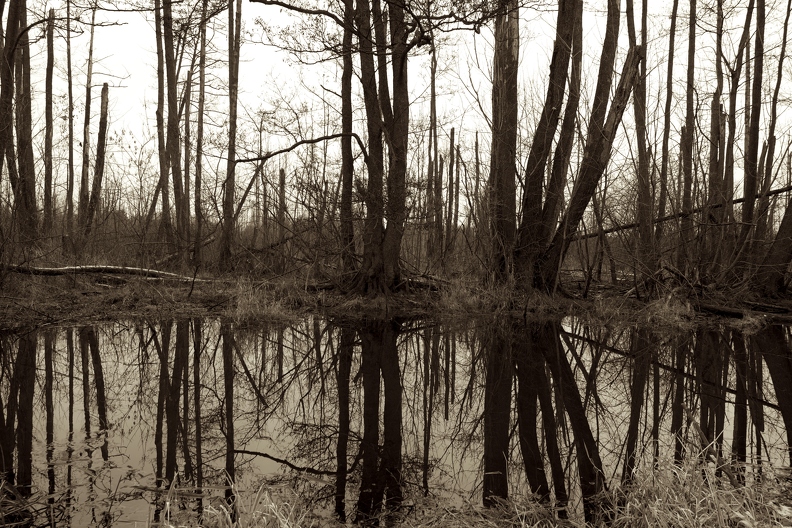 Urstomtal Lübars - Schönheit in Sepia - Urstomtal - Strange Beauty in Sepia.jpg Urstomtal - Strange Beauty in Sepia.jpg